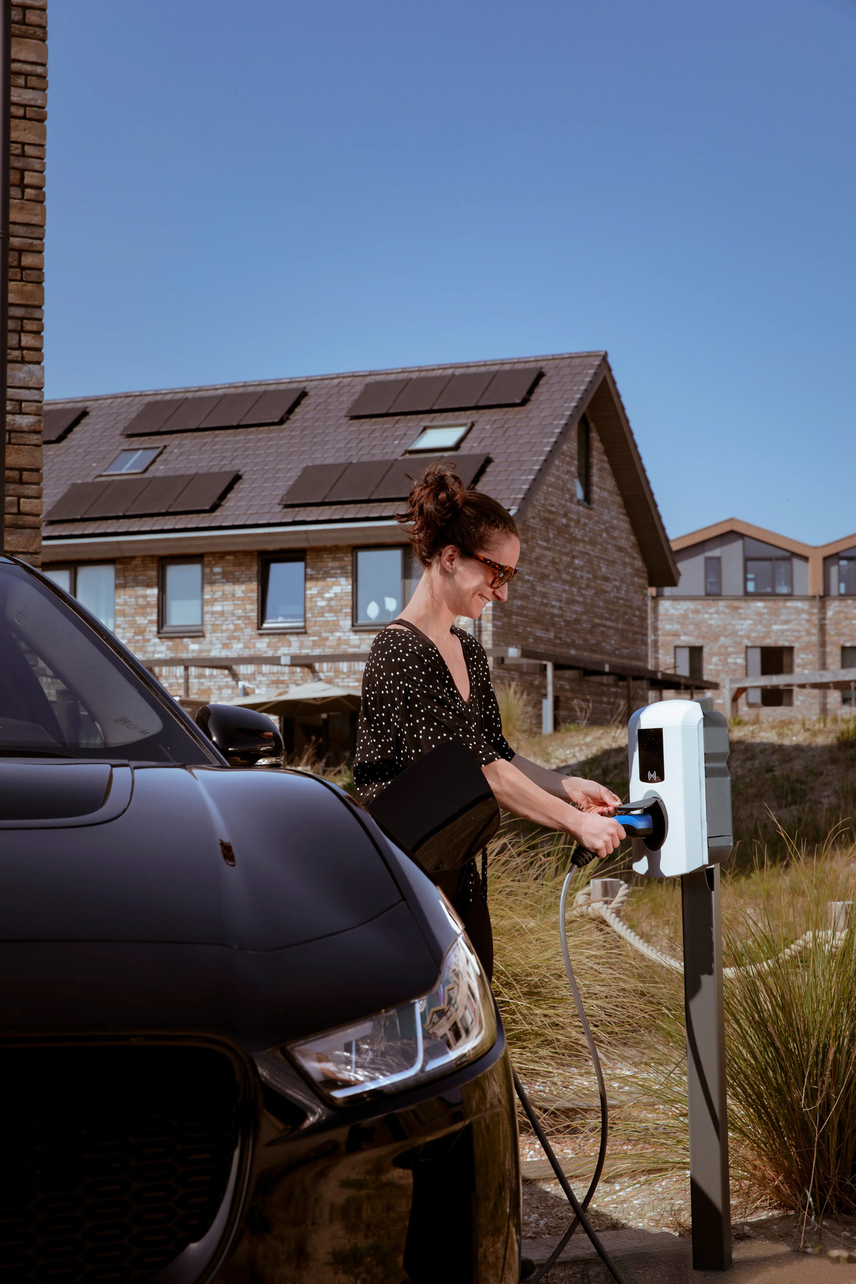 Alfen-eve-single-plus-6